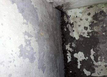 Agentes evitam segunda fuga na Penitenciária Estadual de Foz do Iguaçu II