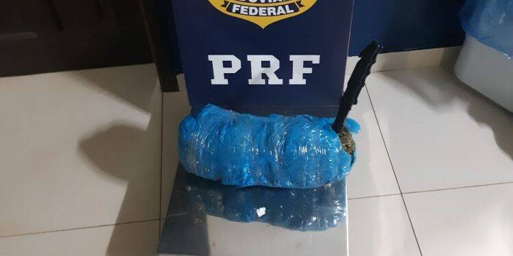 PRF encontra skunk em ônibus para Goiânia