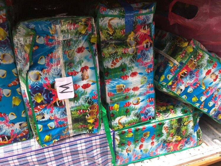 Receita Federal apreende comboio de ônibus na BR 277