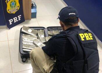 PRF encontra droga em ônibus