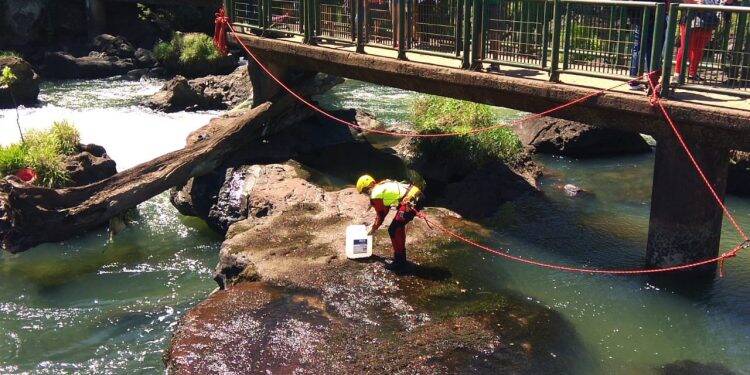 Operação recolheu o maior número de moedas em dez anos de operações