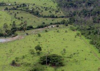 Acaba hoje prazo para entrega do Imposto sobre Propriedade Territorial Rural (DITR)
