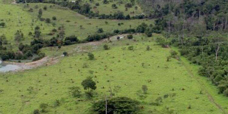 Acaba hoje prazo para entrega do Imposto sobre Propriedade Territorial Rural (DITR)