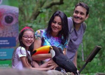 Parque das Aves terá programação especial para o Dia das Crianças