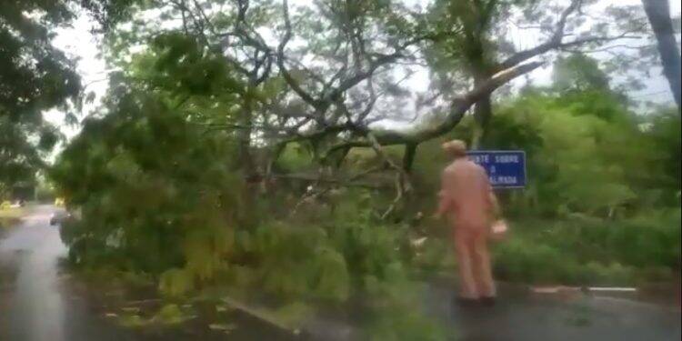Região norte de Foz do Iguaçu teve chuva de 69mm na tarde de domingo