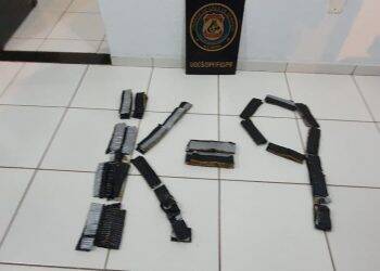 Mulher é presa pela Polícia Federal com munições presas ao corpo