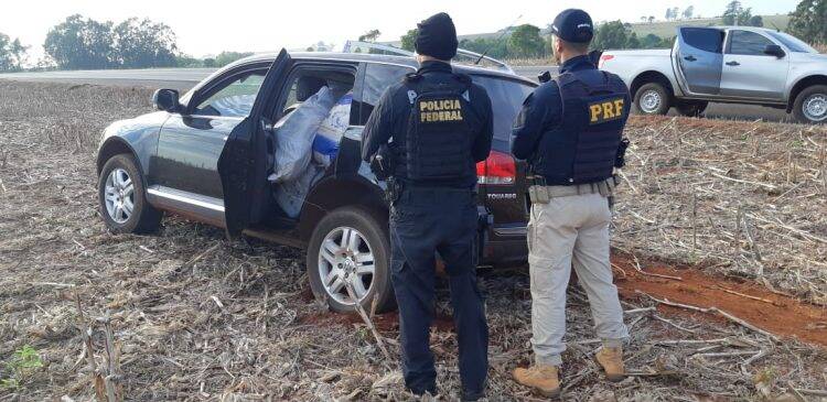 Forças de segurança apreendem meia tonelada de agrotóxicos na fronteira