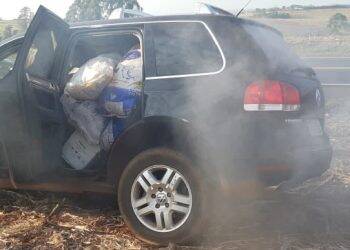 Forças de segurança apreendem meia tonelada de agrotóxicos na fronteira
