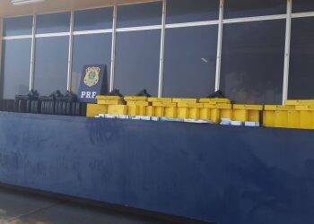 PRF apreende grande quantidade de armas de Air Soft e medicamentos