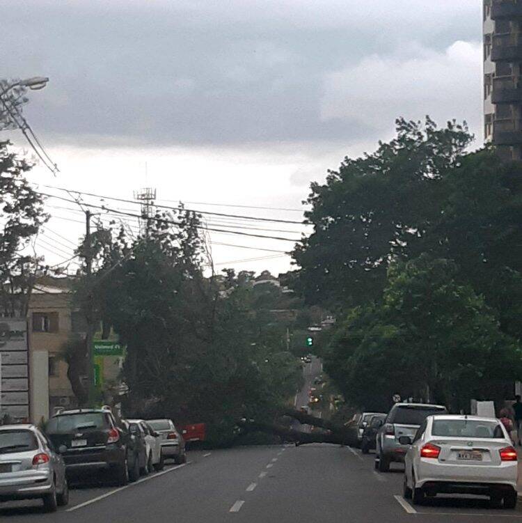 Temporal em Foz deixa mais de 60 famílias desabrigadas e 35 mil residências sem energia