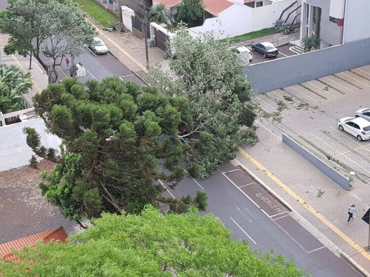 Temporal em Foz deixa mais de 60 famílias desabrigadas e 35 mil residências sem energia