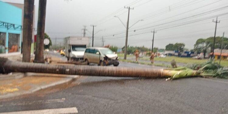 Parte do telhado da prefeitura é arrancada com a força do vento