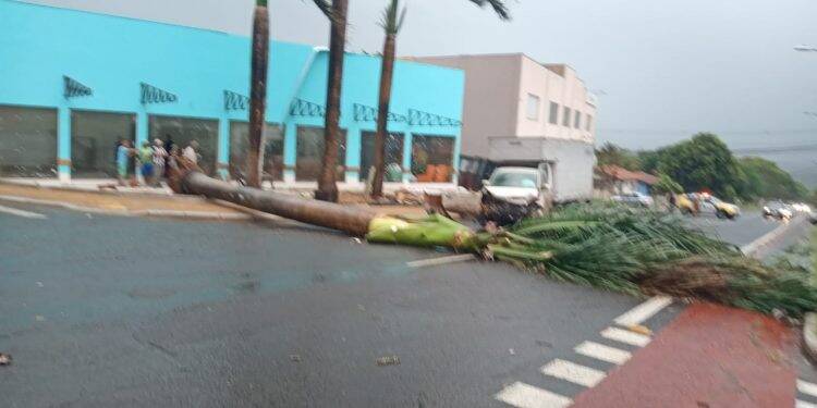 Parte do telhado da prefeitura é arrancada com a força do vento