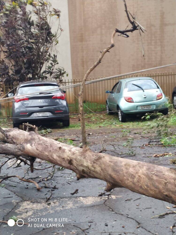 Temporal em Foz deixa mais de 60 famílias desabrigadas e 35 mil residências sem energia