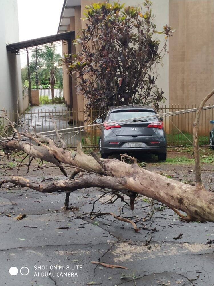 Temporal em Foz deixa mais de 60 famílias desabrigadas e 35 mil residências sem energia