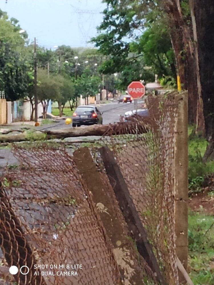 Temporal em Foz deixa mais de 60 famílias desabrigadas e 35 mil residências sem energia