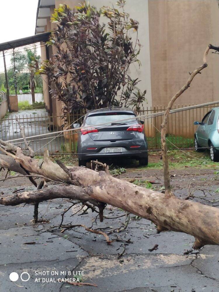 Temporal em Foz deixa mais de 60 famílias desabrigadas e 35 mil residências sem energia