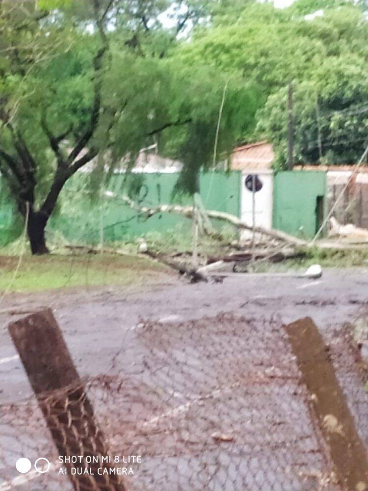 Temporal em Foz deixa mais de 60 famílias desabrigadas e 35 mil residências sem energia