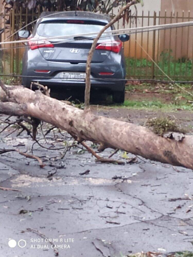 Temporal em Foz deixa mais de 60 famílias desabrigadas e 35 mil residências sem energia