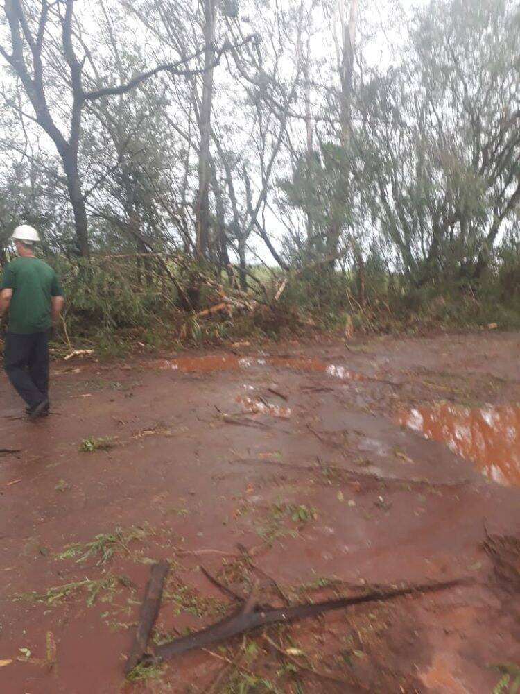 Temporal em Foz deixa mais de 60 famílias desabrigadas e 35 mil residências sem energia
