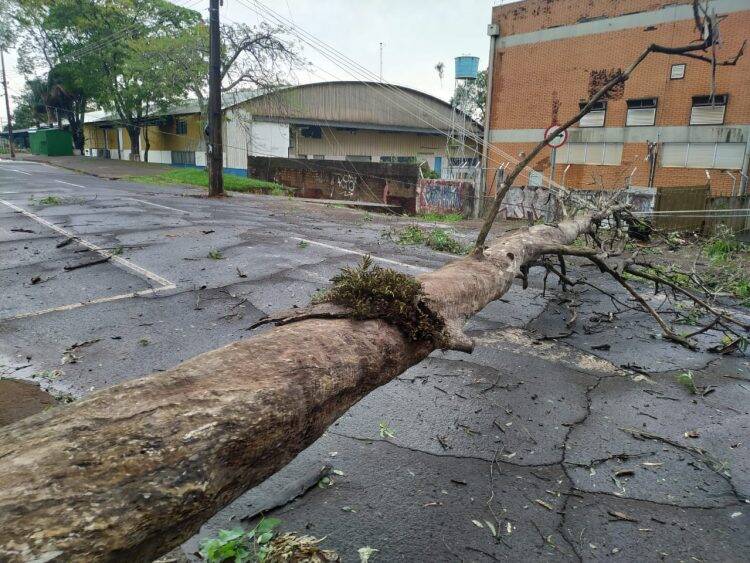 Temporal em Foz deixa mais de 60 famílias desabrigadas e 35 mil residências sem energia
