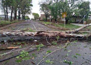 Temporal em Foz deixa mais de 60 famílias desabrigadas e 35 mil residências sem energia