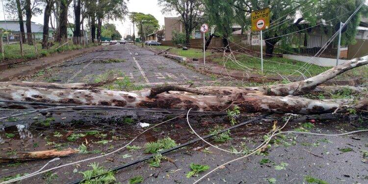 Temporal em Foz deixa mais de 60 famílias desabrigadas e 35 mil residências sem energia