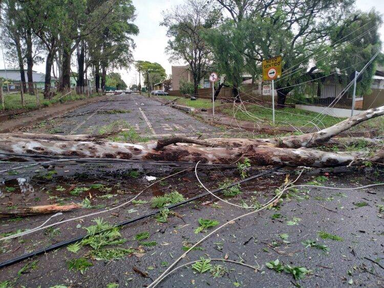 Temporal em Foz deixa mais de 60 famílias desabrigadas e 35 mil residências sem energia