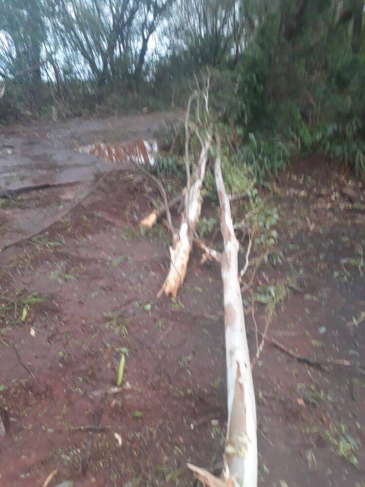 Temporal em Foz deixa mais de 60 famílias desabrigadas e 35 mil residências sem energia