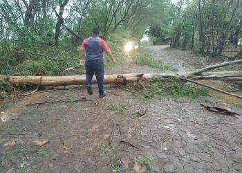 Temporal em Foz deixa mais de 60 famílias desabrigadas e 35 mil residências sem energia