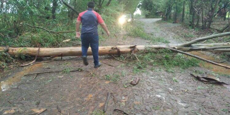 Temporal em Foz deixa mais de 60 famílias desabrigadas e 35 mil residências sem energia