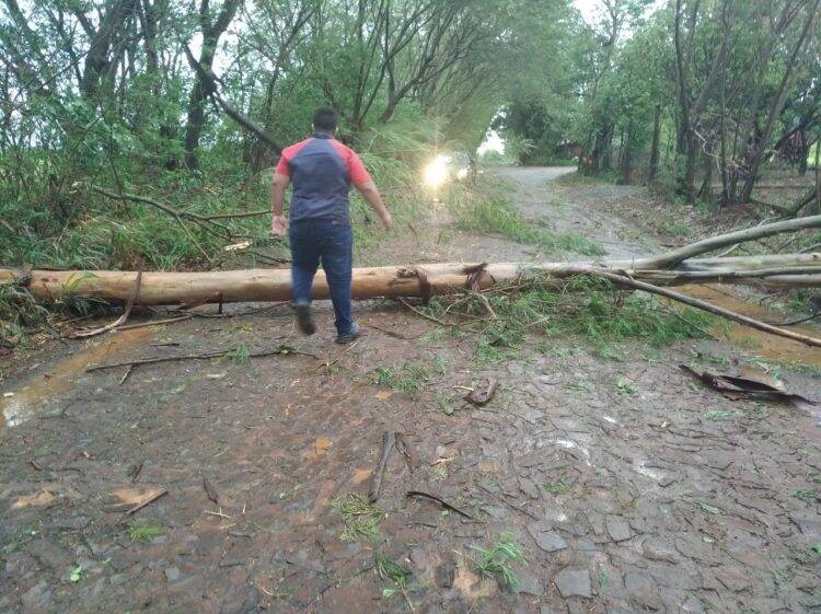 Temporal em Foz deixa mais de 60 famílias desabrigadas e 35 mil residências sem energia