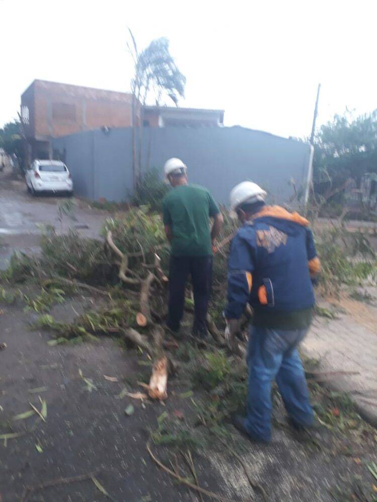 Temporal em Foz deixa mais de 60 famílias desabrigadas e 35 mil residências sem energia