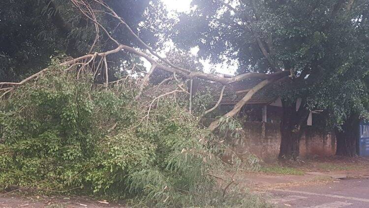 Temporal em Foz deixa mais de 60 famílias desabrigadas e 35 mil residências sem energia