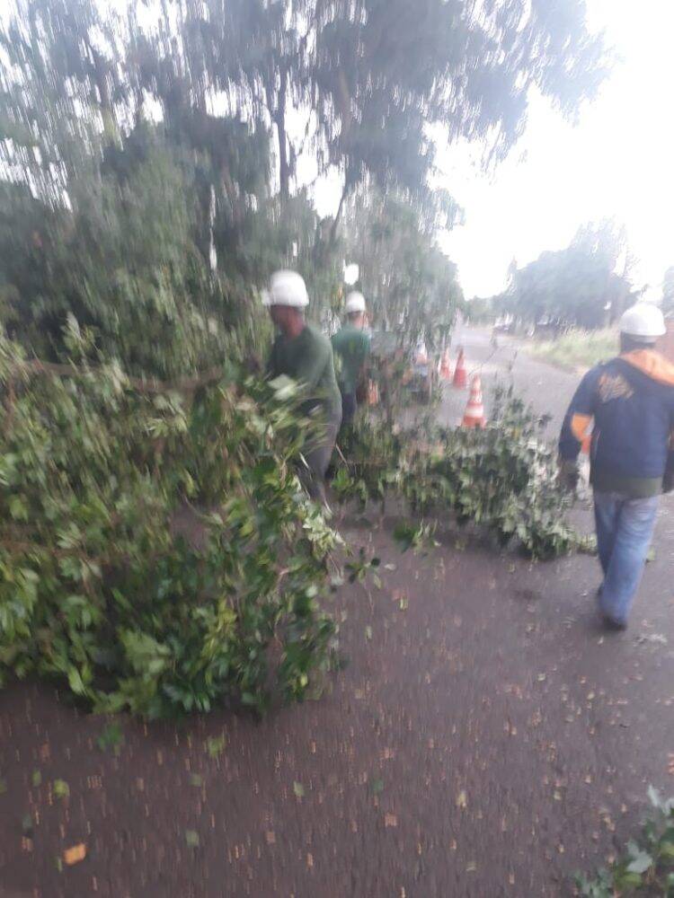 Temporal em Foz deixa mais de 60 famílias desabrigadas e 35 mil residências sem energia