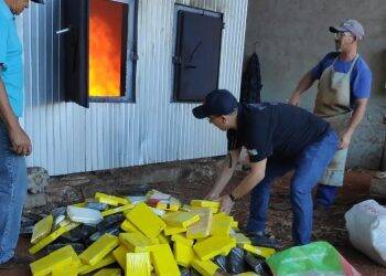 Polícia Civil incinera 850 kg de drogas nesta sexta-feira