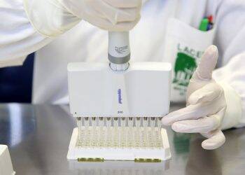Foz do Iguaçu confirma três casos de Zika Vírus e são os primeiros registrados no Paraná