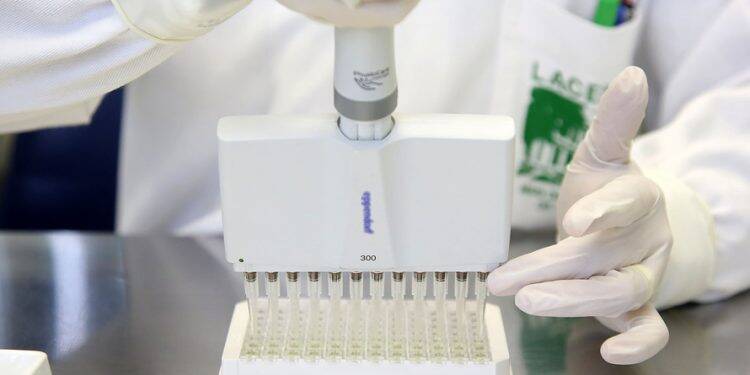 Foz do Iguaçu confirma três casos de Zika Vírus e são os primeiros registrados no Paraná