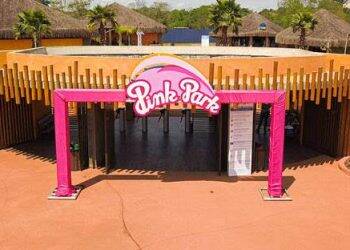 Blue Park muda de cor para comemorar o Outubro Rosa