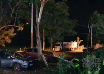 Raio parte árvore ao meio e danifica dois carros em São Miguel do Iguaçu