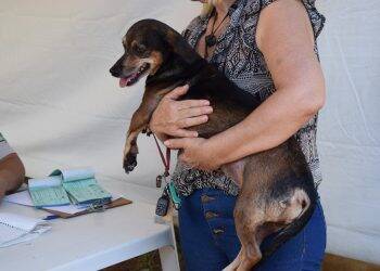 CCZ promove vacinação antirrábica neste sábado, no Três Lagoas, Três Bandeiras e Lagoa Dourada