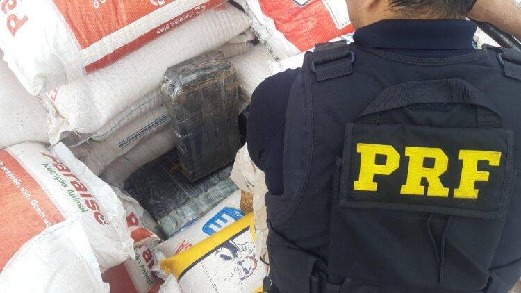 PRF apreende toneladas de maconha em meio à carga de milho no Paraná