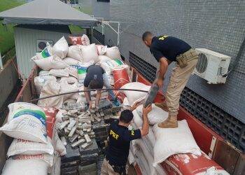 PRF apreende toneladas de maconha em meio à carga de milho no Paraná