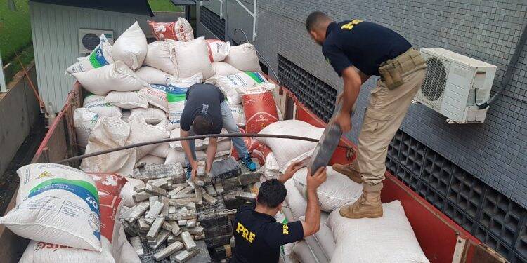 PRF apreende toneladas de maconha em meio à carga de milho no Paraná