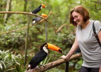 Feriadão da Proclamação da República no Parque das Aves
