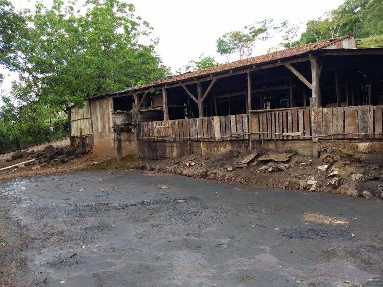 Abatedouro clandestino é fechado em Medianeira