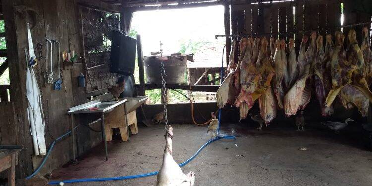 Abatedouro clandestino é fechado em Medianeira