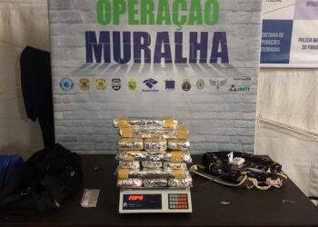 Cão farejador detecta e Receita Federal apreende 20kg de maconha em ônibus de linha