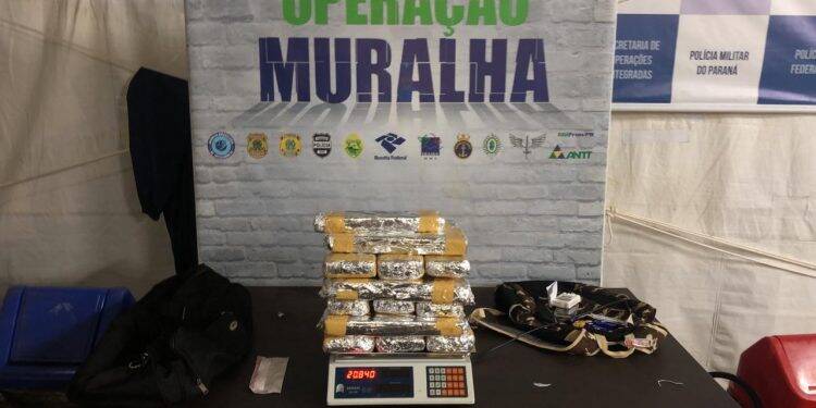 Cão farejador detecta e Receita Federal apreende 20kg de maconha em ônibus de linha