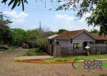 Abelhas invadem residência e atacam criança e babá; Dois cães morreram